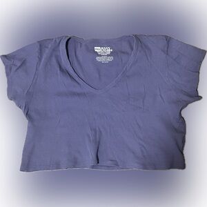 Big Bud Press Purple Short Sleeve V-Neck